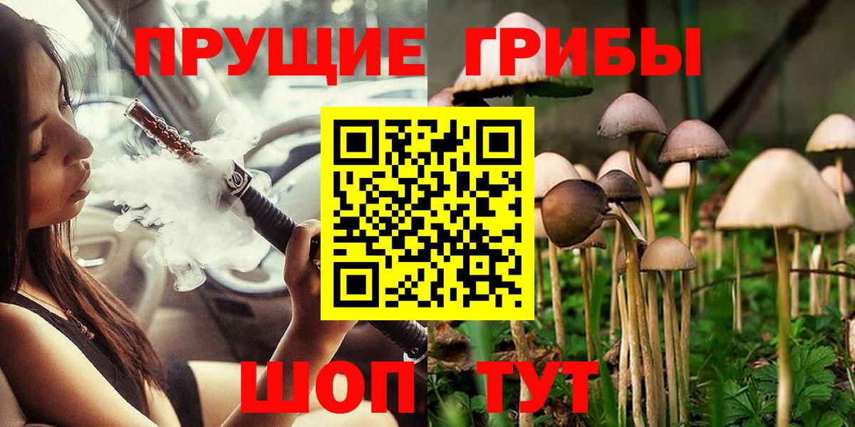 Алатырь  Псилоцибиновые грибы Psilocybe  Вход с VPN 